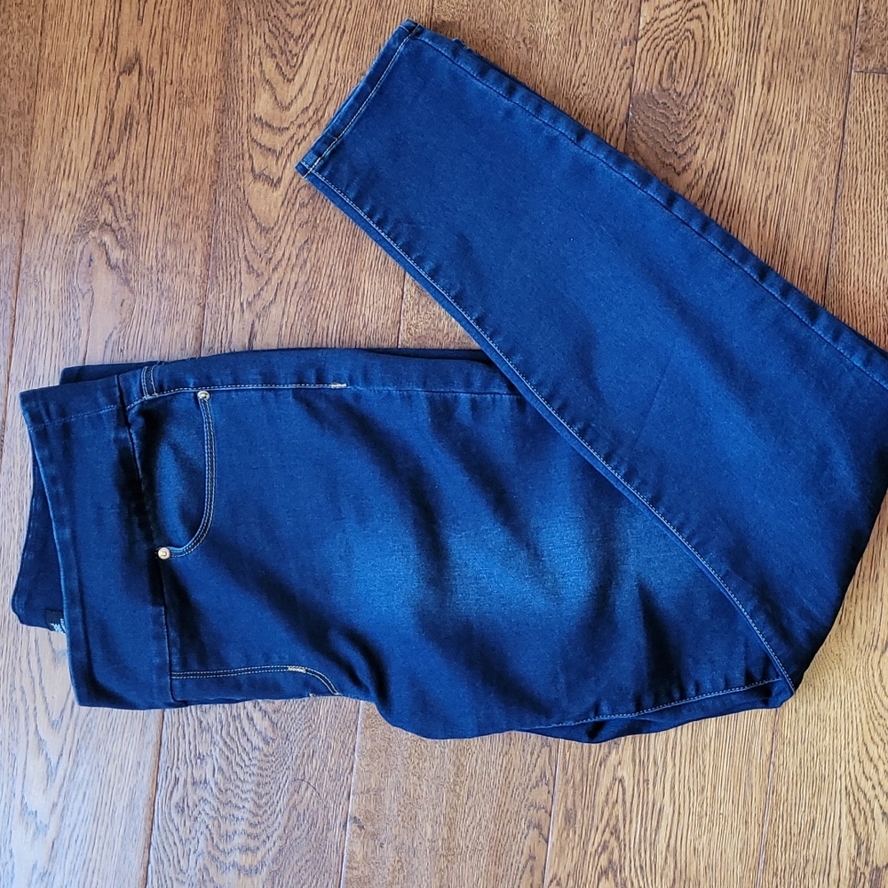 Luxury DesignerJeggings Robin Barre